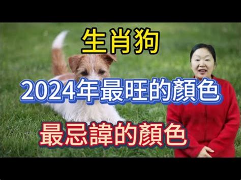 屬狗的顏色|【屬狗的幸運顏色】2024年屬狗的幸運顏色是什麼？。